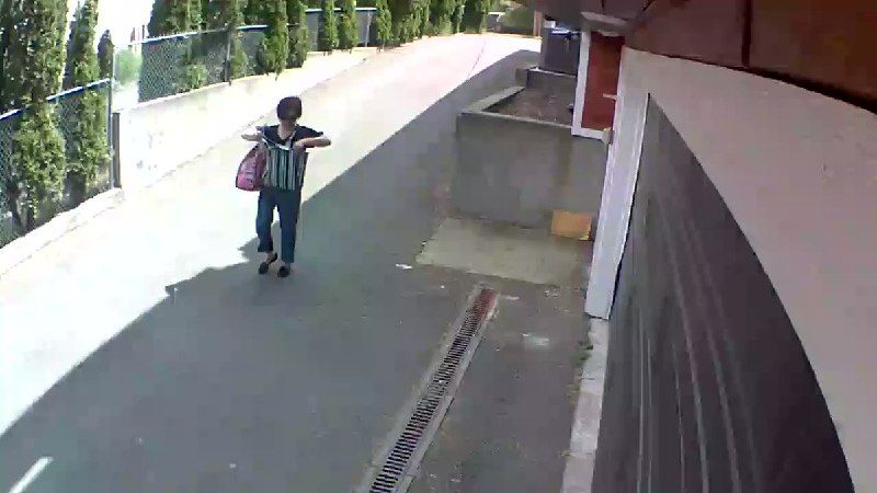 غافلگیری زن سالخورده در کوچه خلوت توسط سارق