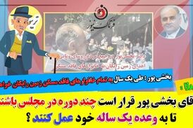 آقای بخشی پور؛ قرار است چند دوره در مجلس باشید تا به وعده خود عمل کنید؟