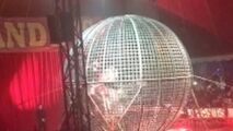 نمایش هیجان‌انگیز در سیرک به حادثه منتهی شد