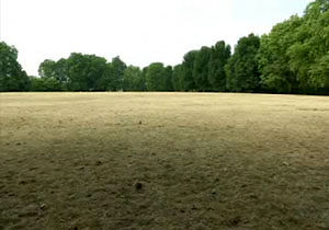 تغییر رنگ پارک‌های لندن از سبز به قهوه‌ای بر اثر گرمای تابستان