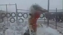 یخ زدن شترمرغ‌ها در اثر سرمای شدید افغانستان!