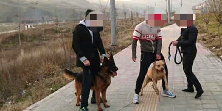 صحبت‌ های دردناک پدر دختر بچه‌ ای که مورد حمله دو سگ قرار گرفت
