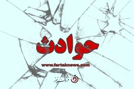 قدرت طبیعت: صاعقه درختی کهن‌سال را دو نیم کرد
