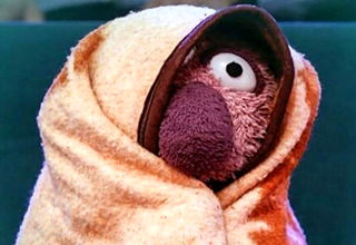 خودنمایی جناب‌خان پس از جراحی زیبایی/ دکتر به جای باقی پول «نوروبیون» به لبم تزریق کرد!