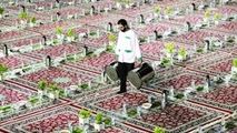 پاکبانان یزدی میهمان سفره خادمیاران رضوی