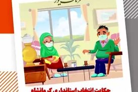 حکایت انتخاب استاندار کرمانشاه، مرغ همسایه غاز ؛ غاز خودمان مرغ!