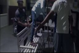 مارمولک غول پیکری که بیمارستان را بهم ریخت!