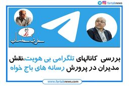 خیلی از مدیران متخلف مالی حامی کانالهای تلگرامی بی هویت هستند