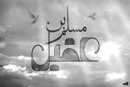 مداحی زیبا و حزن‌انگیز میثم مطیعی در رثای حضرت مسلم‌ 