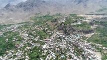 جشن آلاله ها در دامن طبیعت سبز نیاسر