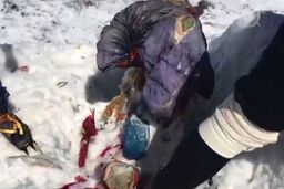 جسد کوهنورد مفقود شده پس از 31 سال پیدا شد!