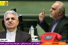 دلایل حضور وزیر اقتصاد به مجلس و کارت زرد نمایندگان