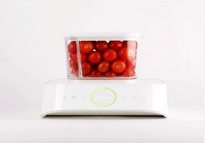 اطلاع از فاسد شدن مواد غذایی با جدیدترین نوع ظرف غذا