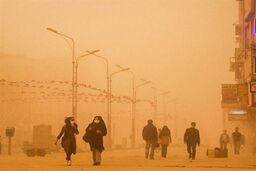 جدی بگیرید/ بیماری‌هایی که با گرد و غبار ایجاد می‌شوند