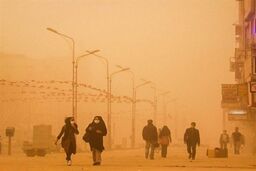 جدی بگیرید/ بیماری‌هایی که با گرد و غبار ایجاد می‌شوند