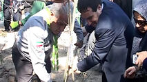 کاشت درخت به یاد شهدا