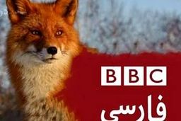 مچ‌گیری کارشناس بی‌بی‌سی، دروغ مجری این شبکه را لو داد