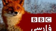 مچ‌گیری کارشناس بی‌بی‌سی، دروغ مجری این شبکه را لو داد