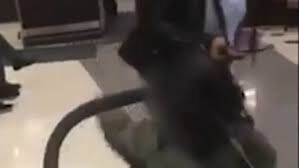رفتار عجیب مادر جوان با دخترش!