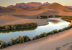 تصاویری هوایی از تالاب زیبای یزد 