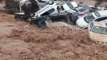 عاقبت شوخی گرفتن سیل!