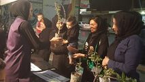 نذر فرهنگی فعالان محیط زیست در شب‌های محرم 