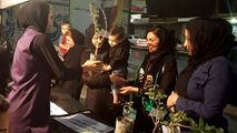 نذر فرهنگی فعالان محیط زیست در شب‌های محرم 