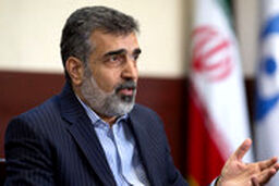 سخنگوی انرژی اتمی: اروپا فکر نکند ۶۰ روز دیگر هم زمان دارد، ایران صبر نخواهد کرد