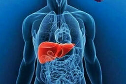 پیشگیری از یک بیماری خطرناک با چند روش ساده