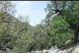 طبیعت بی‎‌نظیر و دیدنی در روستای بیدرود