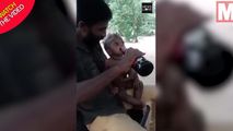 خوراندن مشروبات الکلی به پسر خردسال!
