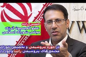 در حوزه پتروشیمی و تخصیص خوراک مجتمع‌های پتروشیمی رانت وجود دارد 