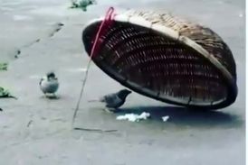 صحنه ای عاطفی که شکارچی را منصرف کرد+ فیلم