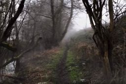 روح سرگردانی که در جنگل های انگلیس دیده شد