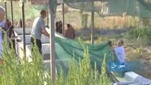 پرورش جلبک دریایی برای نخستین بار درکشور!