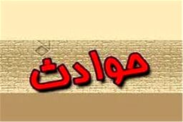  لحظه وحشتناک غرق شدن یک کودک در آب 