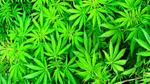 فرار قاچاقچی از دست پلیس!