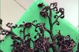 مشاهده موجود دریایی عجیب در سواحل ویتنام