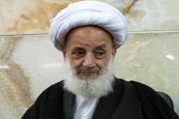 نظر آیت الله مجتهدی تهرانی درباره افرادی که می‌گویند می‌شود به امام زمان(عج) هم انتقاد کرد!