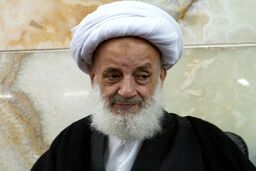 نظر آیت الله مجتهدی تهرانی درباره افرادی که می‌گویند می‌شود به امام زمان(عج) هم انتقاد کرد!