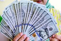 صف فروش دلار در میدان فردوسی