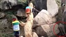 حمله فیل مادر به ساکنان محلی هنگام نجات بچه فیل