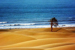 پدیده زیبای دریای دو رنگ در خلیج گواتر