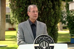 سخنگوی دولت: زیر ساخت‌های لازم برای ورود زنان به ورزشگاه‌ها فراهم شده است