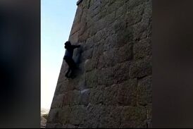 صعود با دست خالیِ مرد میمون نما به بالای قلعه! 