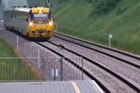 سگی که حرکت یک قطار را مختل کرد 