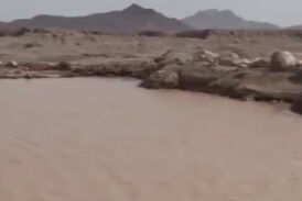 سیل در شهرستان میبد، جان ۲ کودک را گرفت+ فیلم