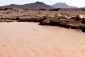 سیل در شهرستان میبد، جان ۲ کودک را گرفت+ فیلم