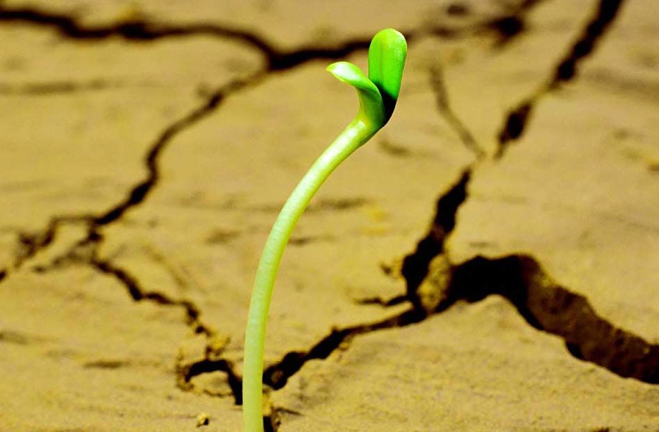 تبدیل بیابان‌های خشک به زمین‌های حاصل‌خیز!