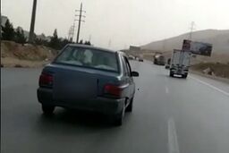 حمل گوساله با پراید!